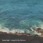Pochette Losing the Sea Remixes