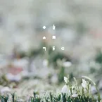 Pochette 월화수목금토일