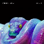 Pochette Medusa