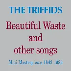 Pochette Beautiful Waste and Other Songs