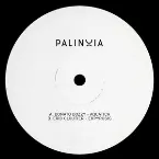 Pochette Palinoia LTD 001