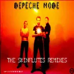 Pochette The Skinflutes Remixes