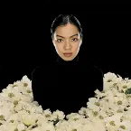 Pochette 焼け野が原