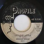 Pochette Little by Little / Come On in This House