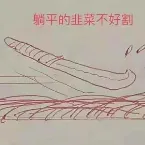 Pochette COULDA BEEN