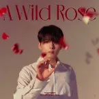 Pochette A Wild Rose