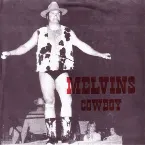 Pochette Cowboy / Hillbilly