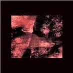 Pochette Angels That Fall