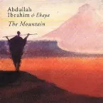 Pochette The Mountain