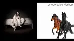 Pochette Old Crown Road (Billie Eilish vs. Lil Nas X feat. Billy Ray Cyrus)