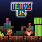 Pochette Tetris DS