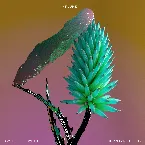 Pochette Say It (Clean Bandit remix)