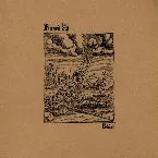 Pochette Bruises