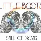 Pochette Skull of Dreams Mixtape