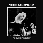 Pochette The Dark Experience