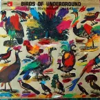 Pochette Birds of Underground