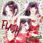 Pochette FLASH