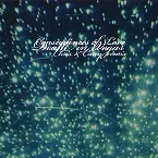 Pochette Consequences of Love