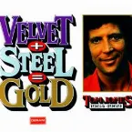 Pochette Velvet + Steel = Gold (1964-1969)
