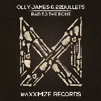 Pochette Bad to the Bone