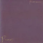 Pochette P-Waves