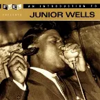 Pochette An Introduction to Junior Wells