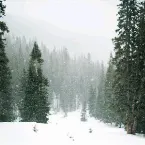 Pochette Quiet Winter