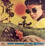 Pochette What Colour is the Wind (Di che colore e' il vento)