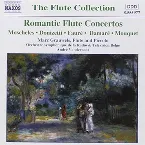 Pochette Romantic Flute Concertos