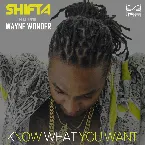 Pochette Know What You Want