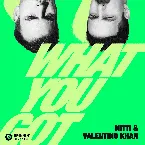 Pochette What You Got (Extended Mix)