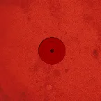 Pochette Untitled III