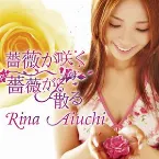 Pochette 薔薇が咲く　薔薇が散る