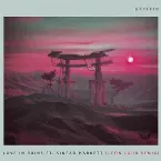Pochette Love in Ruins (remixes)