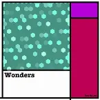 Pochette Wonders