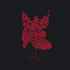 Pochette Night Raider