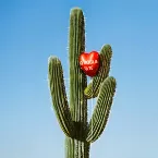 Pochette Ho voglia di te