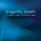 Pochette Dragonfly Breath