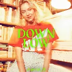 Pochette Down Low
