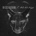 Pochette Caracal Album Mini Mix