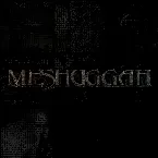 Pochette Meshuggah: Best-Of