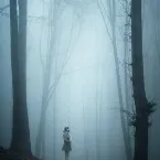 Pochette Voices of Wind