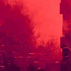 Pochette Music for a Slightly Damaged Room