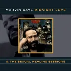Pochette Midnight Love & The Sexual Healing Sessions