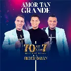 Pochette Amor tan grande