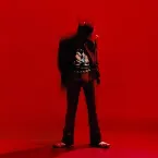 Pochette Moodswings in to Order