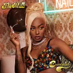 Pochette Conceited