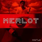 Pochette merlot