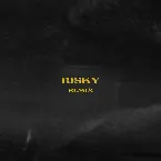 Pochette Risky (Remix)