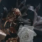 Pochette Meet In The Middle (Ekali remix)